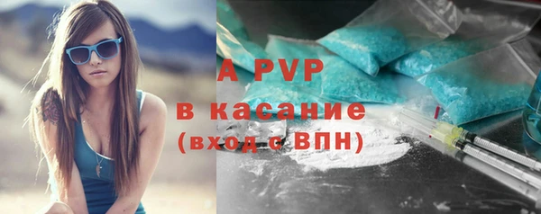 ПСИЛОЦИБИНОВЫЕ ГРИБЫ Киреевск