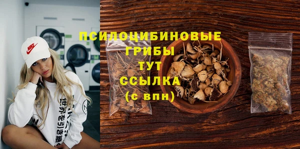ПСИЛОЦИБИНОВЫЕ ГРИБЫ Киреевск