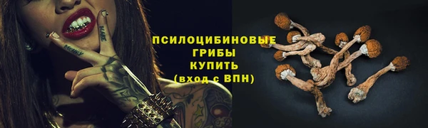 spice Кинешма