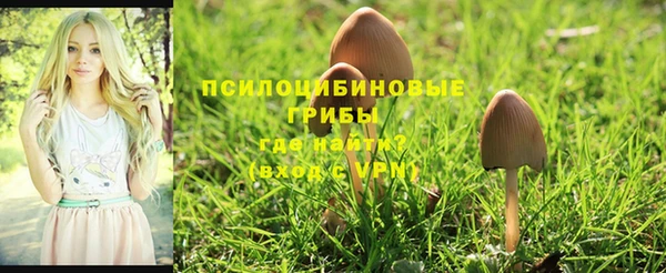 трава Козельск