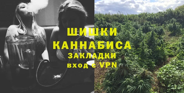 ПСИЛОЦИБИНОВЫЕ ГРИБЫ Киреевск