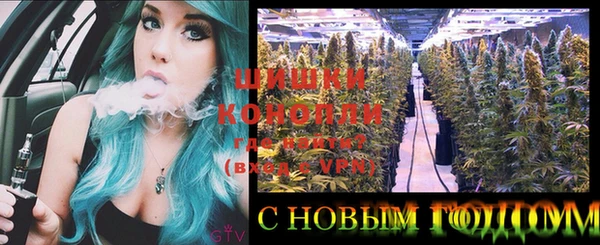 spice Кинешма