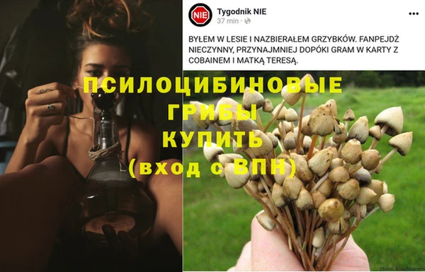 spice Кинешма