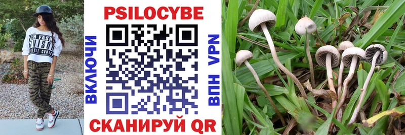 Псилоцибиновые грибы Magic Shrooms  Купить  Рыбинск 