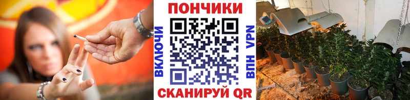Бошки Шишки планчик  Купить где  Рыбинск 